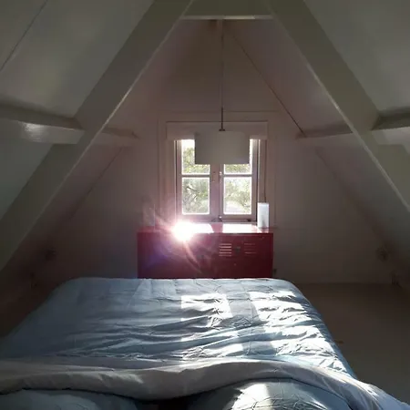 Modern House Apartman *